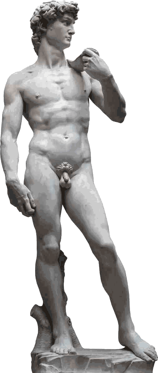 david david